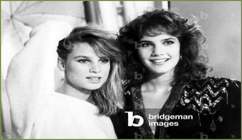 All About Nicollette Sheridan: A Television Icon